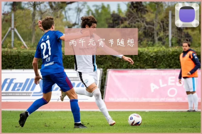 丙午元宵节随想