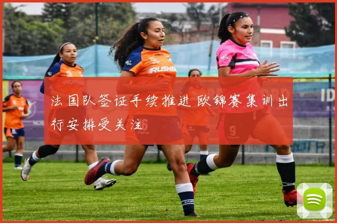 法国队签证手续推进 欧锦赛集训出行安排受关注