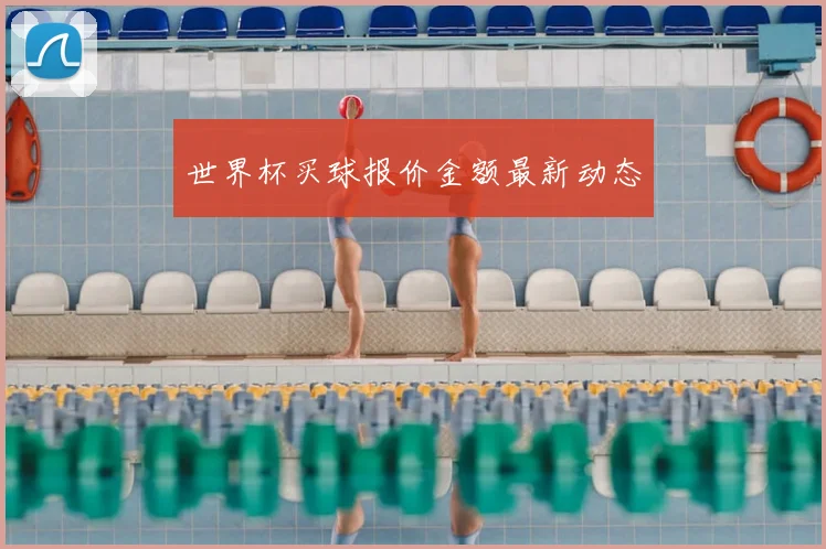 世界杯买球报价金额最新动态