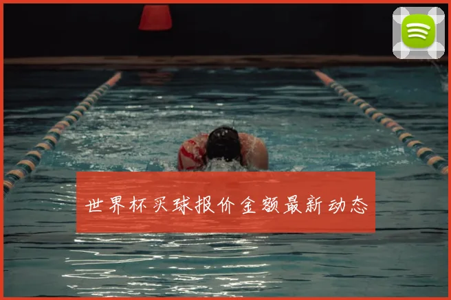 世界杯买球报价金额最新动态