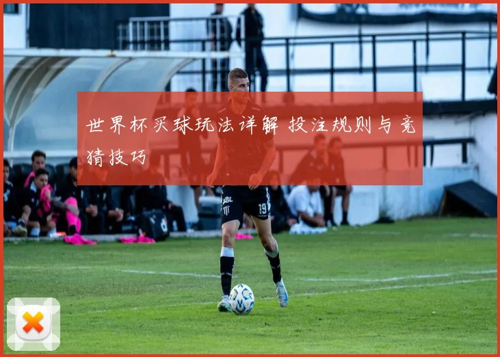 世界杯买球玩法详解 投注规则与竞猜技巧